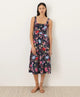 dayspring blooms multi