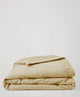 desert sand