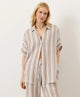 coastal stripe driftwood brown